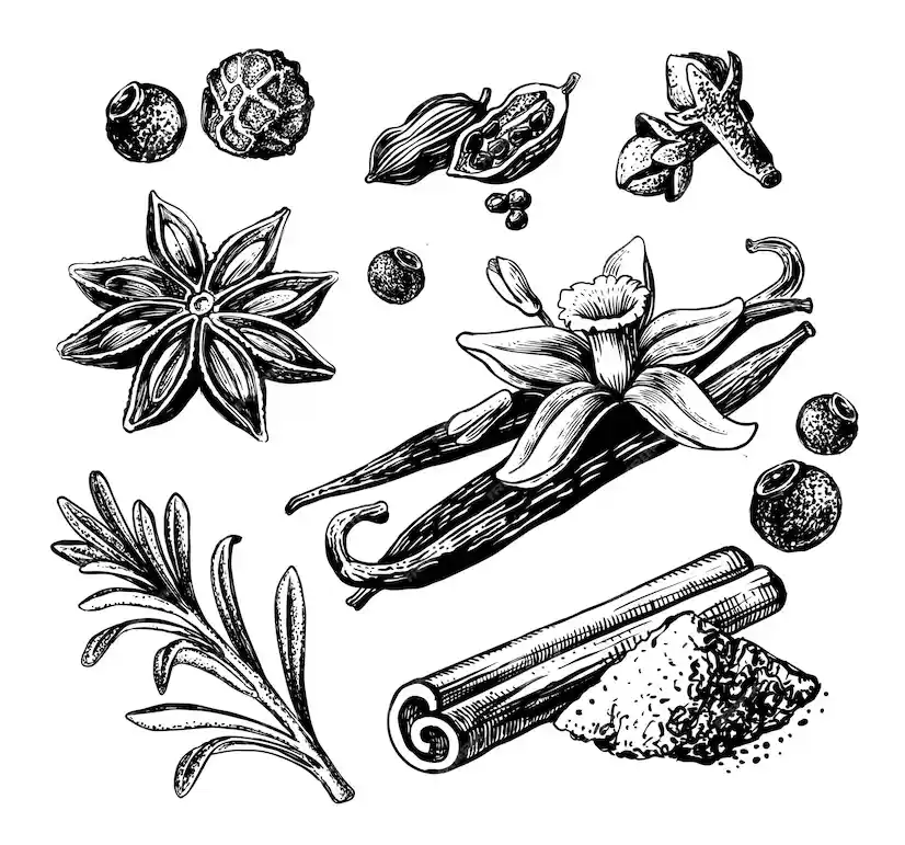 Decorative spice background